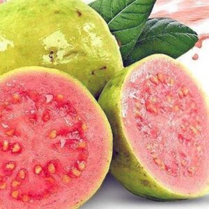 Obat Demam Berdarah Herbal