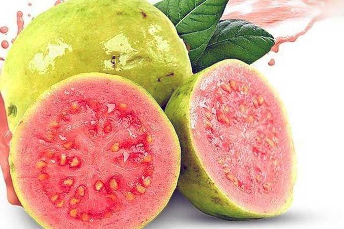 Obat Demam Berdarah Herbal