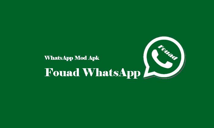 Fouad WhatsApp