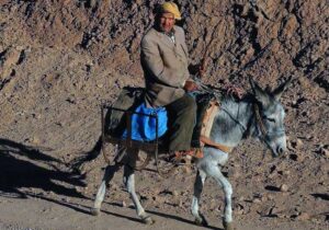 Tips Melakukan Traveling