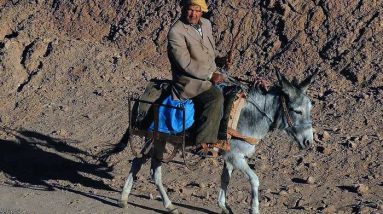 Tips Melakukan Traveling
