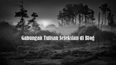 Gabungan Tulisan Seleksian di Blog