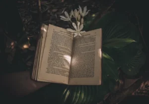 teori psikologi freud dalam analisis novel sastra