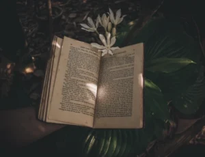 teori psikologi freud dalam analisis novel sastra