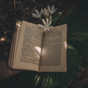 teori psikologi freud dalam analisis novel sastra