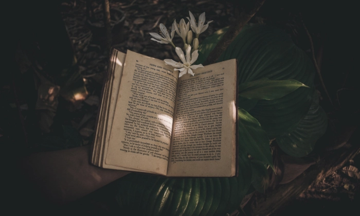 teori psikologi freud dalam analisis novel sastra